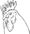 花状冠